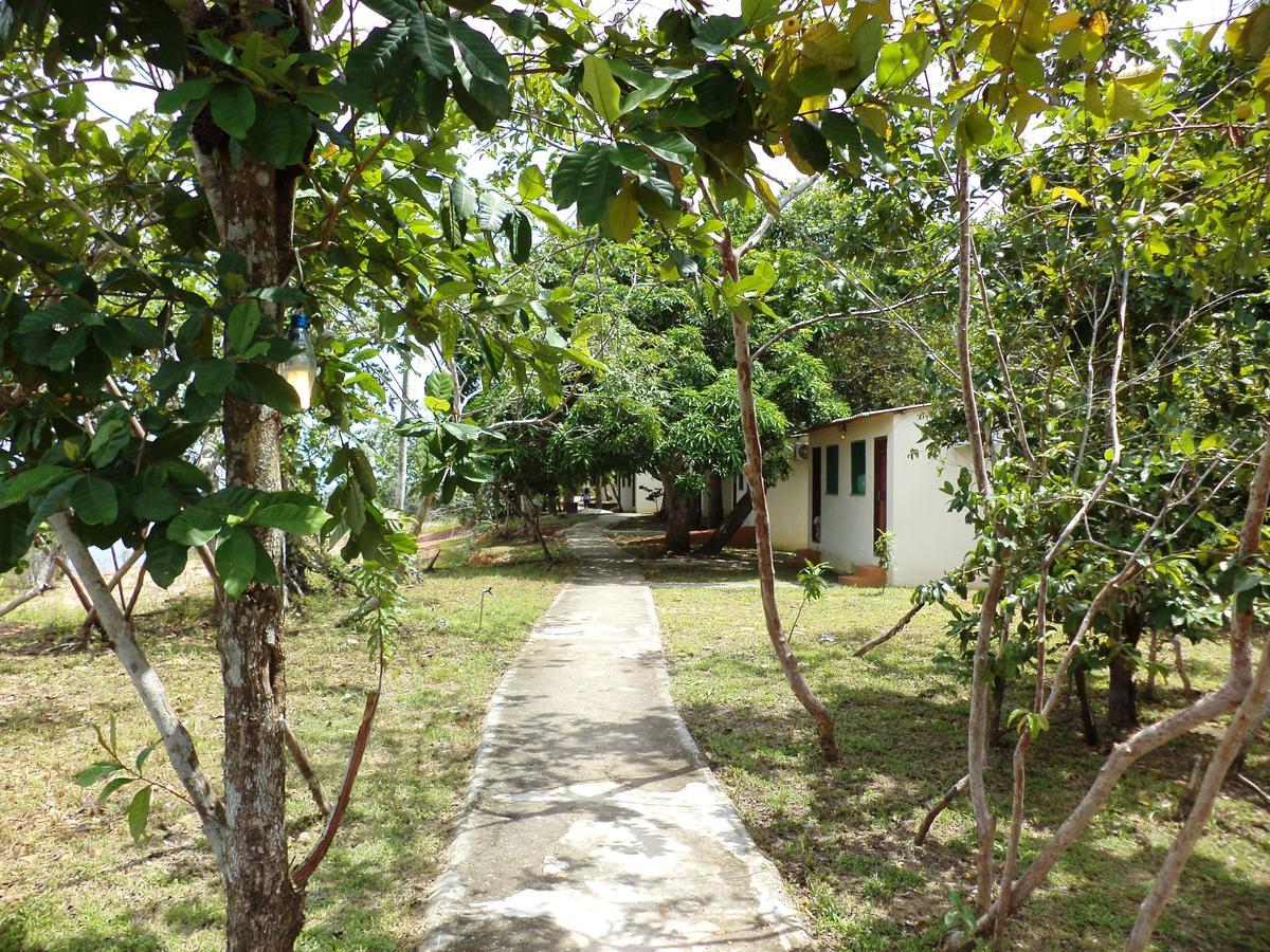 Anaconda Amazon Island Villa Manaus Exterior photo